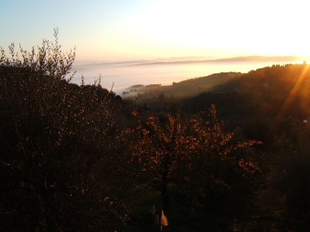 Villa Santa Maria Montalcino Buitenkant foto